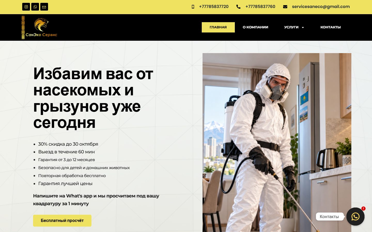 Первый экран сайта SanEcoService