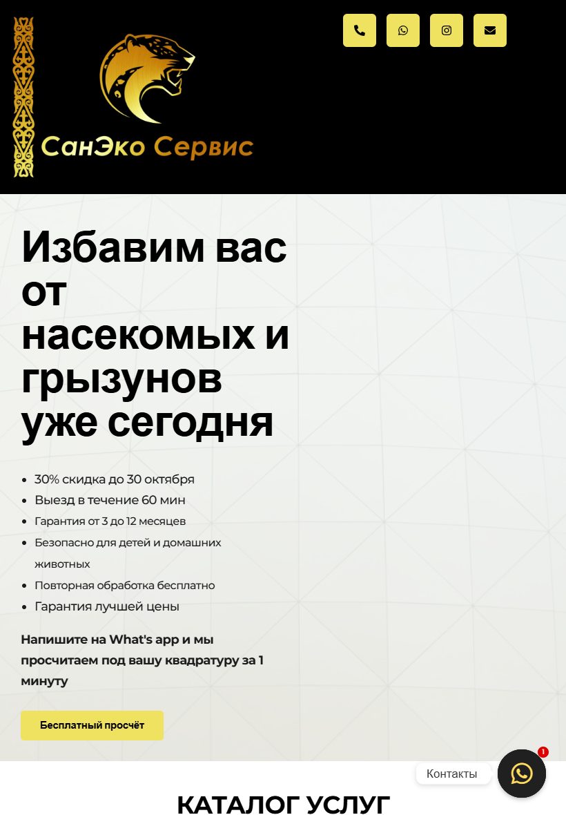 SanEcoService на планшете